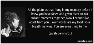 All the pictures that hung in my memory before I knew you have faded ...