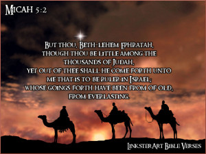 DAILY BIBLE VERSE - DECEMBER 24, 2013
