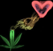 Smoke Weed Colorful Not