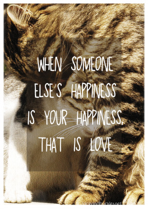 Happiness Cats - Love Quotes - Visual Statement Lace and Buckles