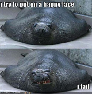 lol hilarious funny pictures happy face fail