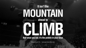 ... climb that wear you out; it's the pebble in your shoe. - Muhammad Ali