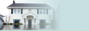 Flood Quote Form. 2. We compare the market to find the cheapest quote ...