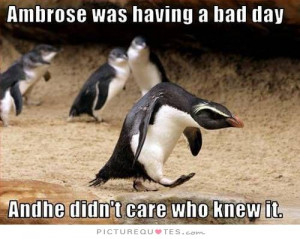 Bad Day Quotes I Dont Care Quotes