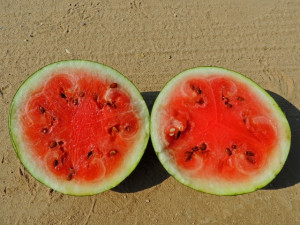 Home » Blog » Vegetables » Watermelon » Watermelon, Sugar Baby