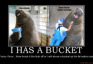 has a bucket i has a bucket walrus demotivational poster 1217308560