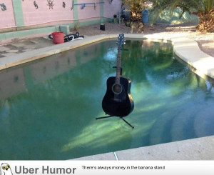 pool this morning. In Phoenix. It’s cold. | Funny Pictures, Quotes ...