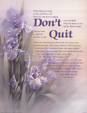 Don't Quit by T.C. Chiu art print