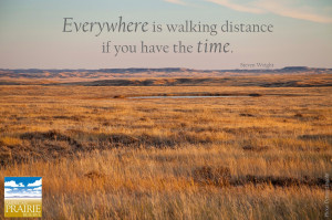 Prairie Inspiration: Timeless Quotes for Reflecting on Nature ...