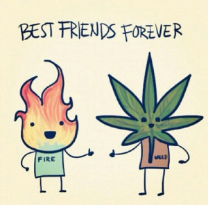 420 Quotes & Funnies