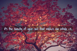 its-beauty-of-your-soul-beauty-quote.png
