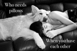 how about human and dog pillows