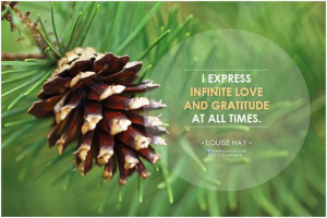 express infinite love and gratitude at all times. - Louise Hay