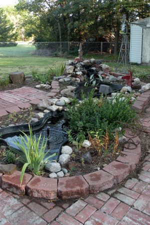 ponds: Backyard Ideas, Water Gardens, Backyard Dreams, Backyard Ponds ...