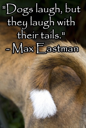 Dogs laugh, but they laugh with their tails.