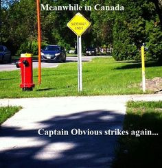 ... captain obvious meanwhile in canada funny quotes humor obvious strike