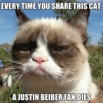 with quotes 13 funny grumpy cat pictures with quotes 14