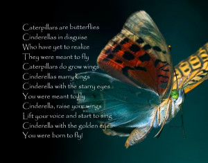 Caterpillars Butterflies (c)