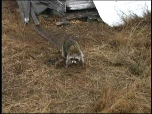 Funny Quotes Contact Dmca...