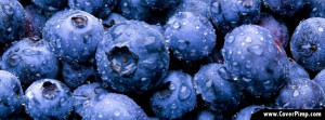 Blueberries Timeline Cover