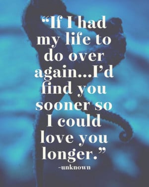 ... to do over again... I'd find you sooner so I could love you longer