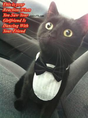 Funny Boyfriend Quotes