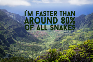 If Dwight Schrute Quotes Were Motivational Posters