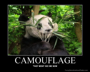 Related Pictures camouflaged animals social anxiety forum
