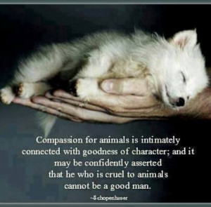 Compassion for animals is intimately connected with goodness of ...