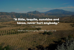 11 Amazing Tequila Quotes For Cinco de Mayo