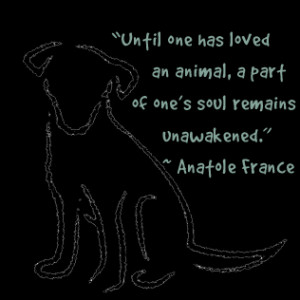 Call Alana today at 603-964-5880.