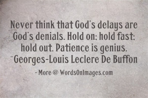 Never think that god delays are god denials. hold on, hold fast, hold ...