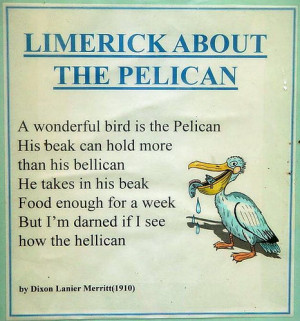 funny limerick poems funny