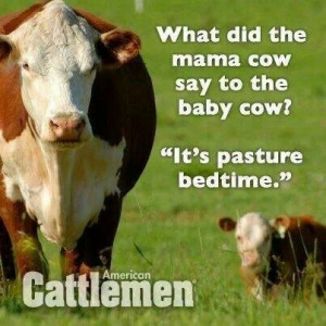 Pinned by Tara Cleveland