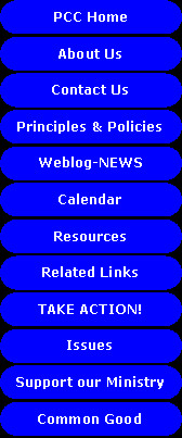 Susan Pace Hamill, Professor of Law, University of Alabama