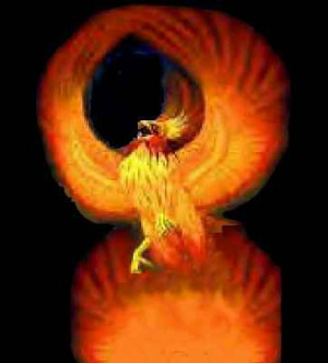 firebird logo phoenix