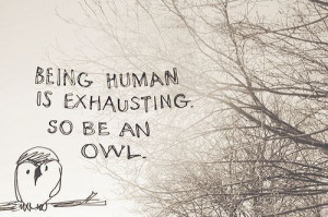 art, drawing, owl, photography, text, tree