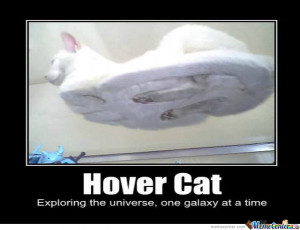 Hover Cat Meme