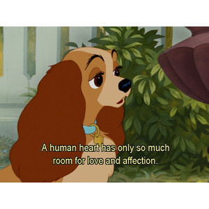 Quotes From Lady and the Tramp
