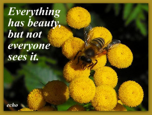 Flowers Quotes Graphics