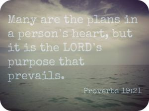 Bible Verses About Guidance