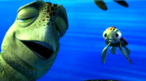 crush in finding nemo the real animal a green sea turtle which ...