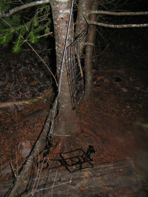 Fur Trapping Traps