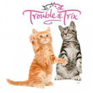Trouble & Trix Cat Litter Tray Liners
