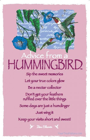 Spirit Totem Animals: #Advice from a #Hummingbird.