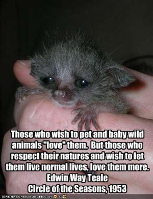 Circle of the Seasons 1953