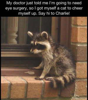 eye doctor funny pictures