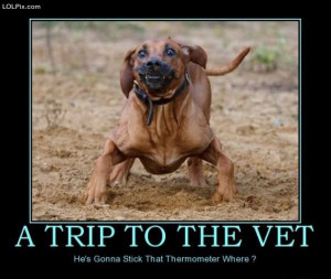 ... Page 13/16 from Funny Pictures 749 (Trip To The Vet) Posted 3/5/2010