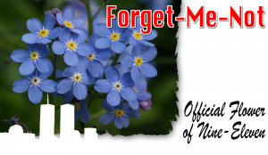 11 Forget-Me-Nots