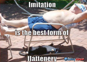 ... .gotsmile.net/images/2010/10/07/imitation_flattery.jpg_1286415762.jpg